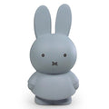 Tirelire Miffy