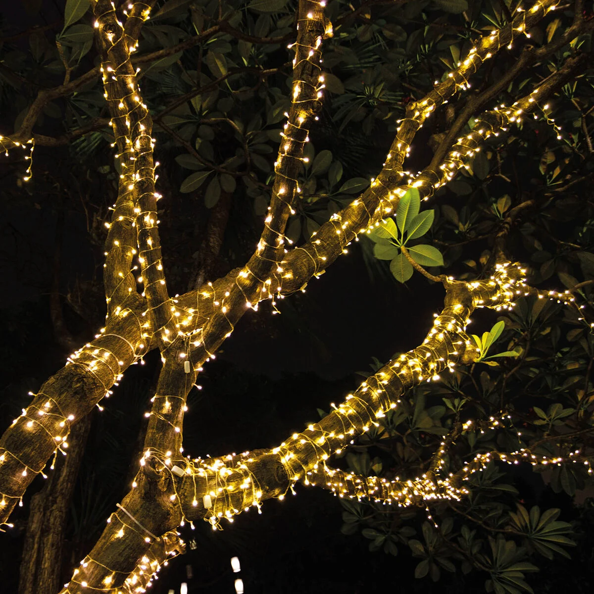 Guirlande lumineuse pour intérieur et extérieur I LEGAMI